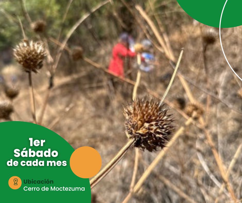 Parque Nacional Los Remedios