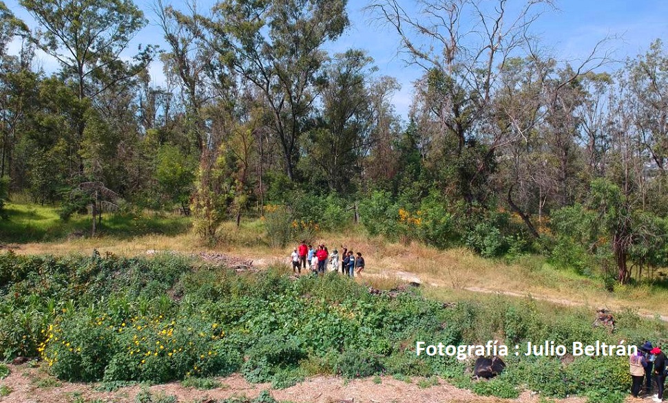grupo de personas haciendo labores de reforestacion en el parque nacional los remedios