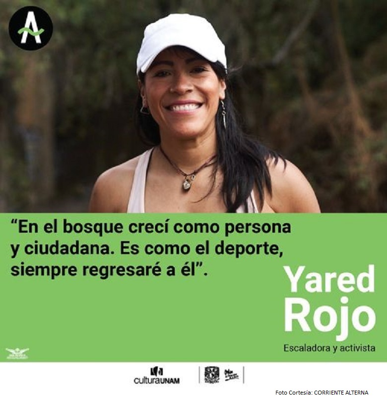 conjunto de imágenes de jóvenes observando serpientes de manos de otros jóvenes en el parque nacional los remediosacional los remedios