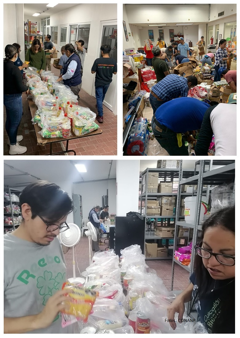 grupo de jóvenes realizando tareas de reforestación en el parque nacional los remedios