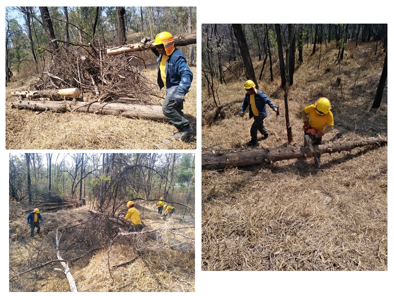 brigada contra incendios realizando trabajos de prevención y control de incendios en el parque ncional los remedios
