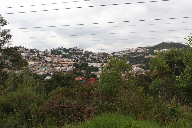 grupo de jóvenes realizando tareas de reforestación en el parque nacional los remedios
