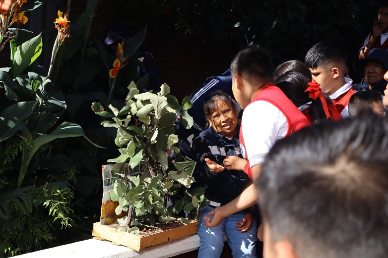 miembros del ejido los remedios explicando características de los robles a los alumnos de la escuela secundaria narciso bassols realizando tareas de reforestación en el parque nacional los remedios