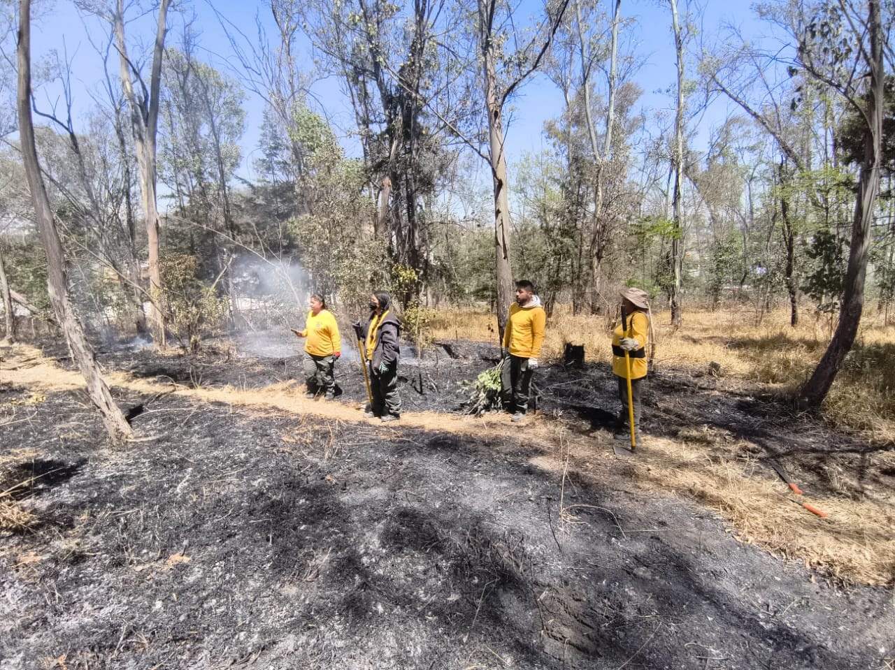 miembros de la brigada contra incendios del parque nacional los remedios
