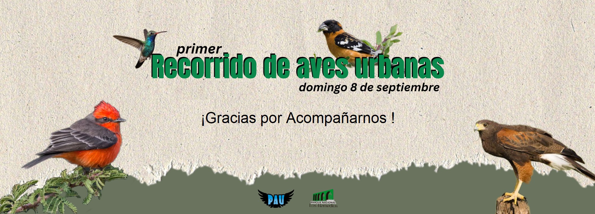 invitacion-avistamiento-de-aves-parque-nacional-los-remedios