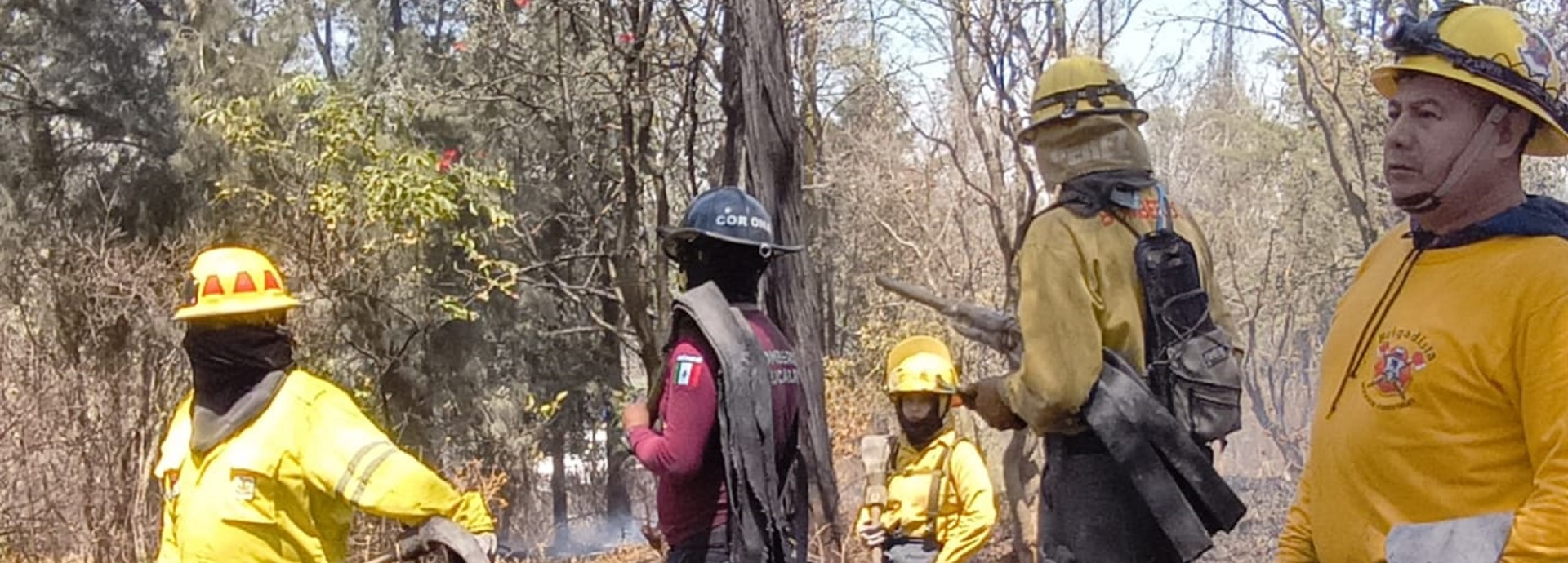 brigada contra incedios del parque nacional Los Remedios